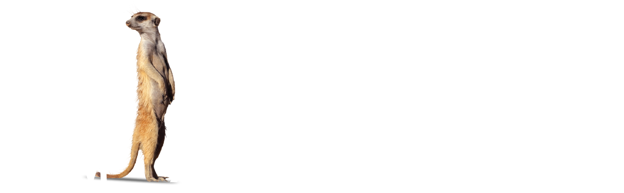 logo-white